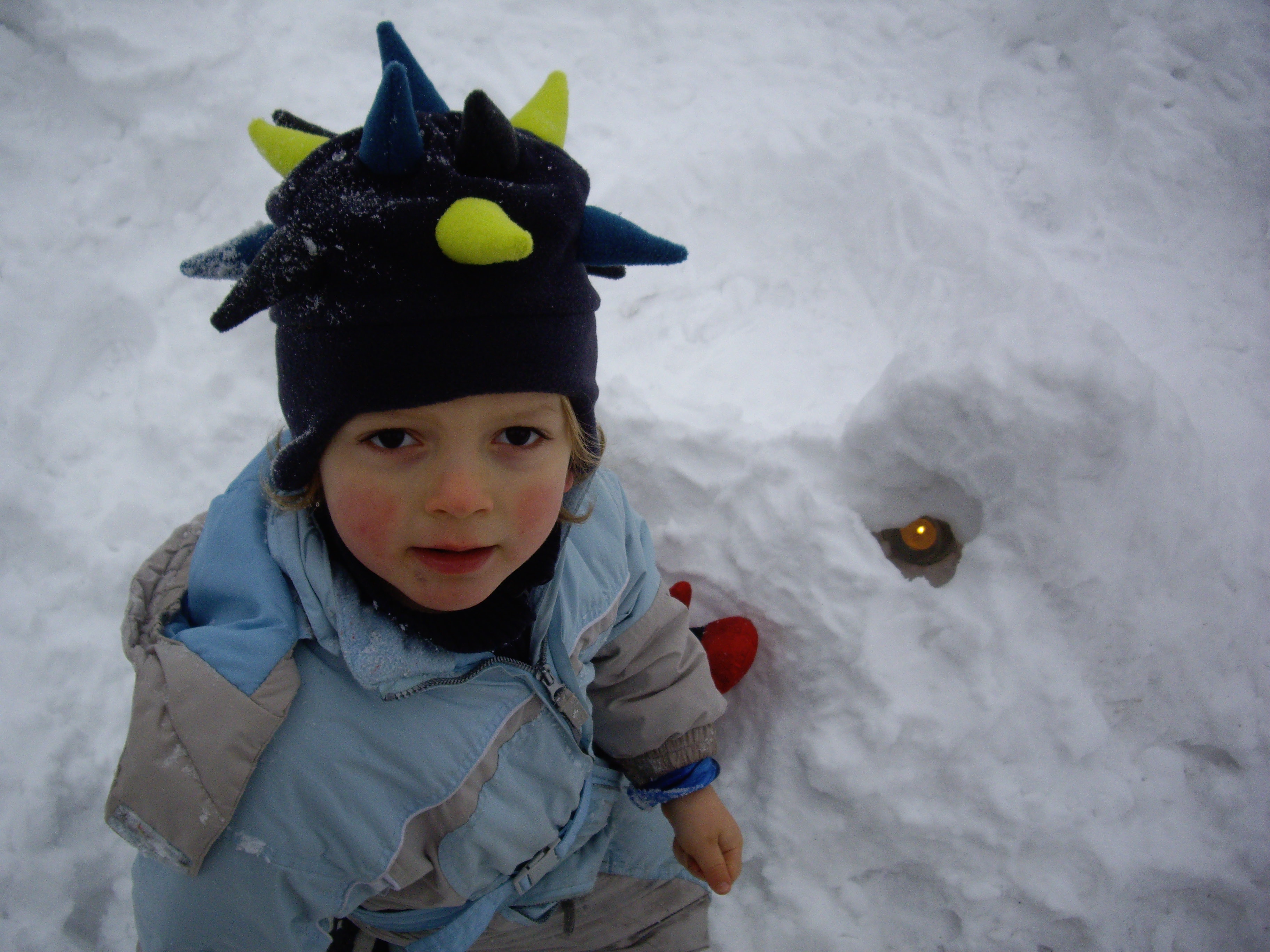 Ich habe eine kuh gesehen